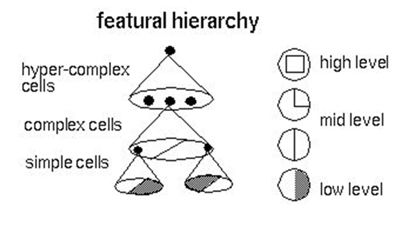多层神经网络（特征学习）